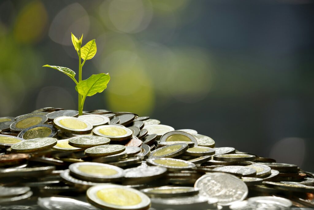 a plant growing out of a pile of coins